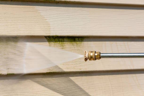 Best Exterior Home Cleaning  in Fall City, WA